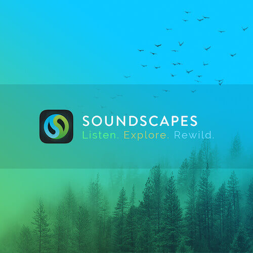 Soundscapes Mobile Application