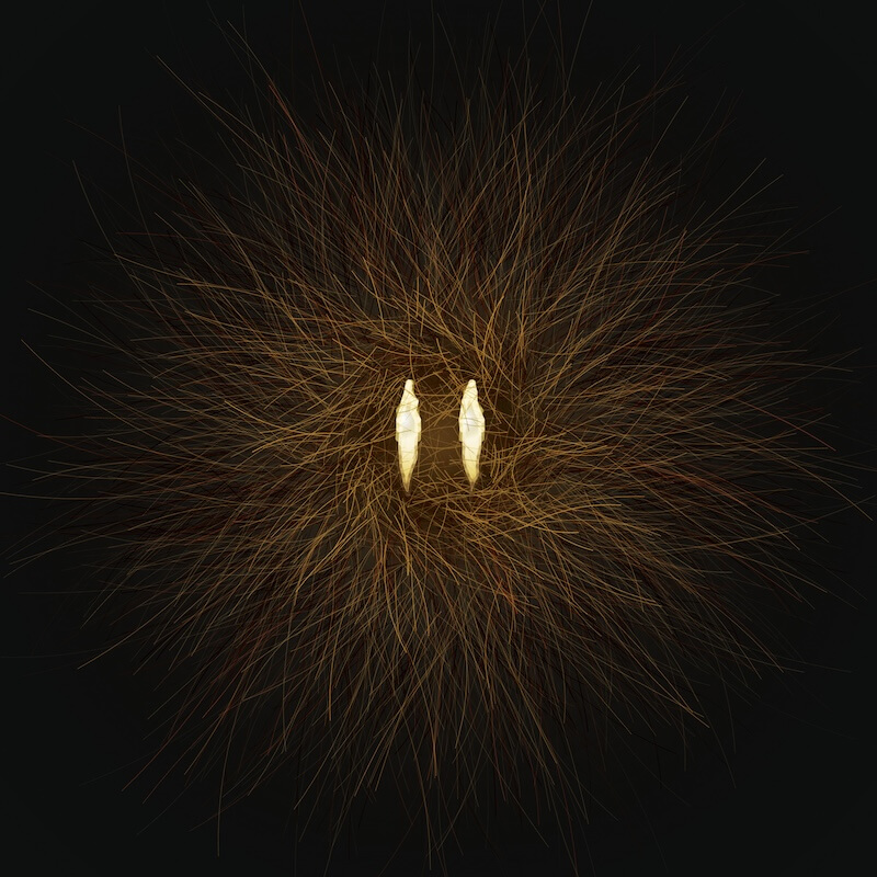 2026_phauneradio_artwork_featured_release_800 Mue · Phaune Radio