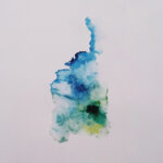 Bosque Vacío - Aves de Nahá