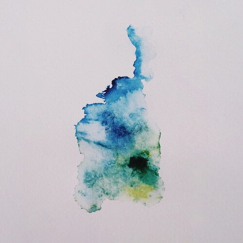 Bosque Vacío - Aves de Nahá