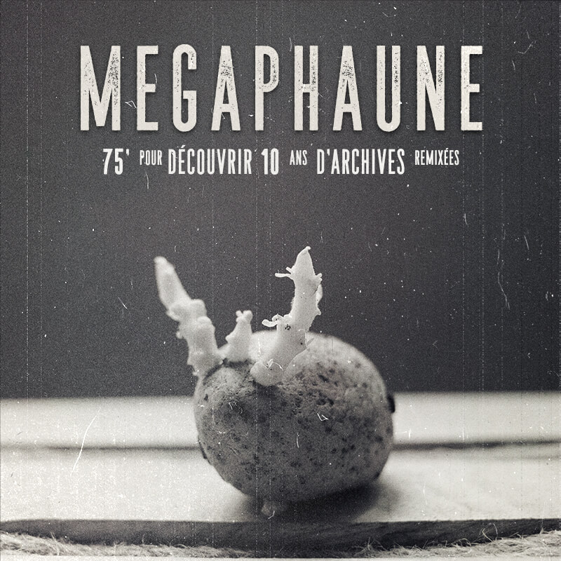 megaphaune_800