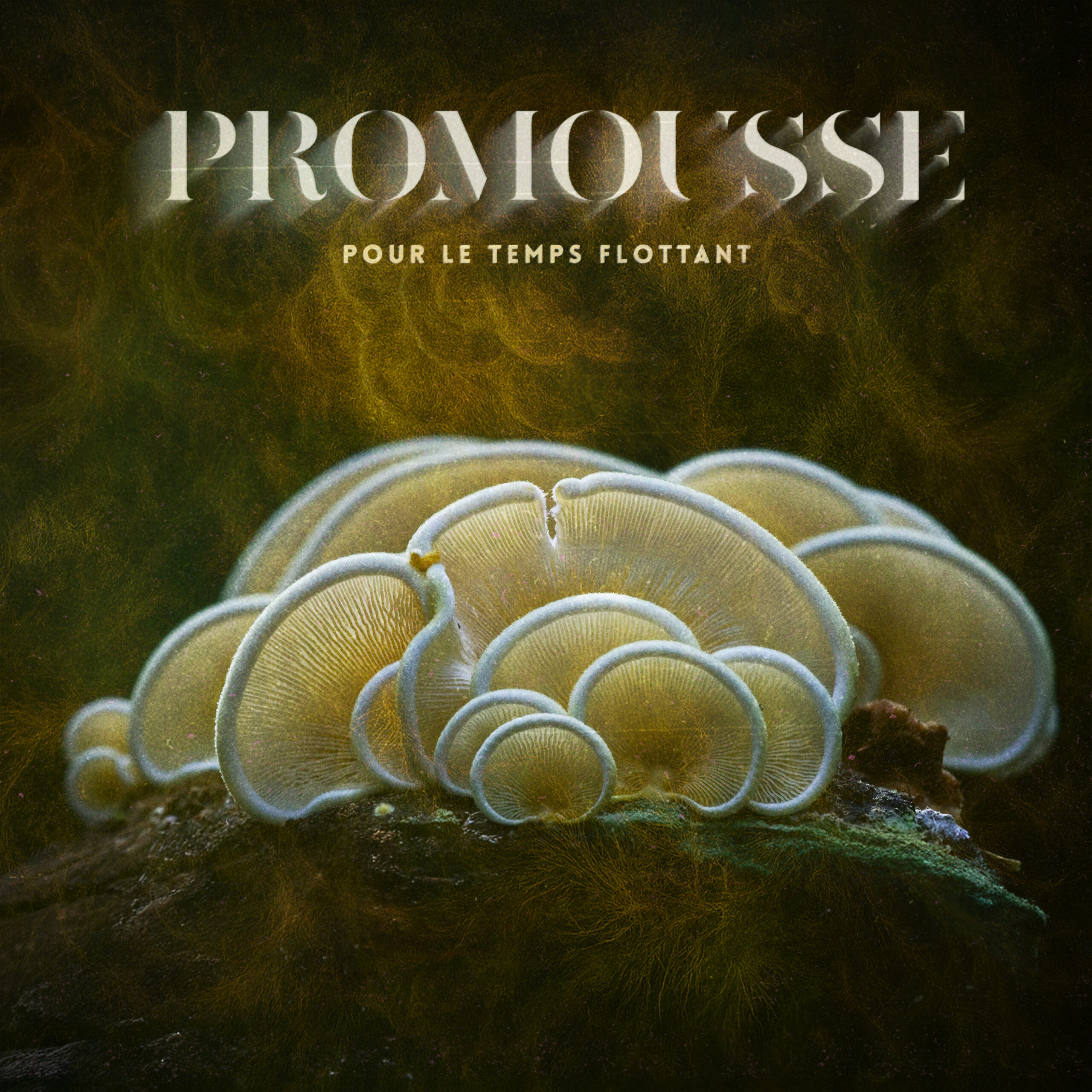 Promousse pour le Temps Flottant